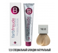 Стойкая крем-краска для волос Berrywell 12.0