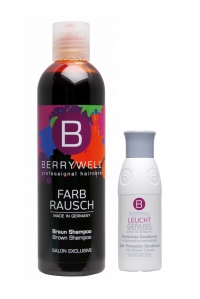Сет Шампунь оттеночный коричневый Brown Shampoo + Кондиционер для защиты цвета мини, 61 мл